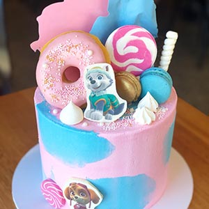 Paw patrol blue and pink cake